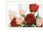 �C�x���g���