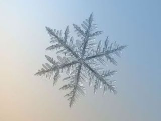 雪の結晶に込められたメッセージ1